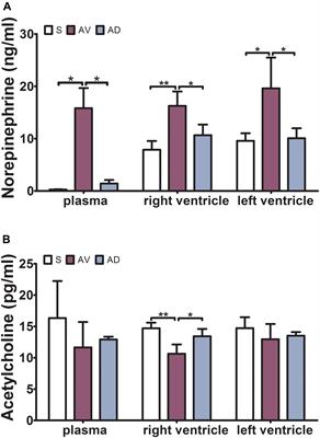 Impact of Bilateral Sympathetic Stellate Ganglionectomy on TGF-β1 Signaling Pathway in Rats With Chronic Volume Overload